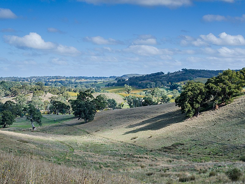 31 Winton Road, Birdwood SA 5234