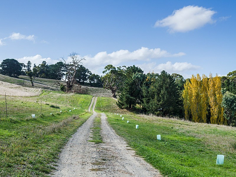31 Winton Road, Birdwood SA 5234