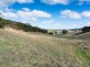 31 Winton Road, Birdwood SA 5234