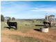 451 Bondleigh Road, Rockleigh SA 5254