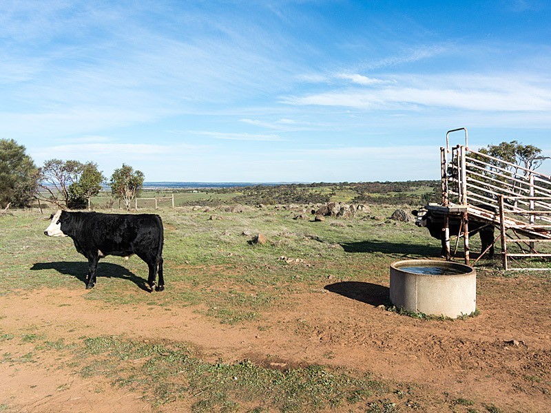 451 Bondleigh Road, Rockleigh SA 5254