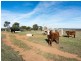 451 Bondleigh Road, Rockleigh SA 5254