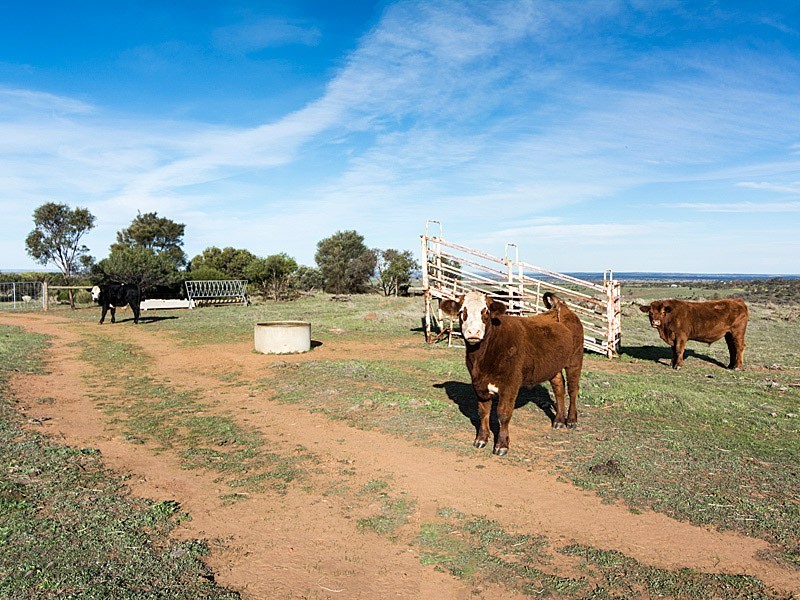 451 Bondleigh Road, Rockleigh SA 5254