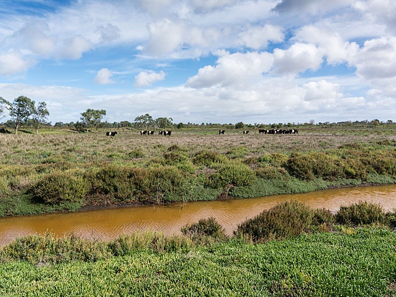 Lot 220 George Mason Street, Wellington East SA 5259