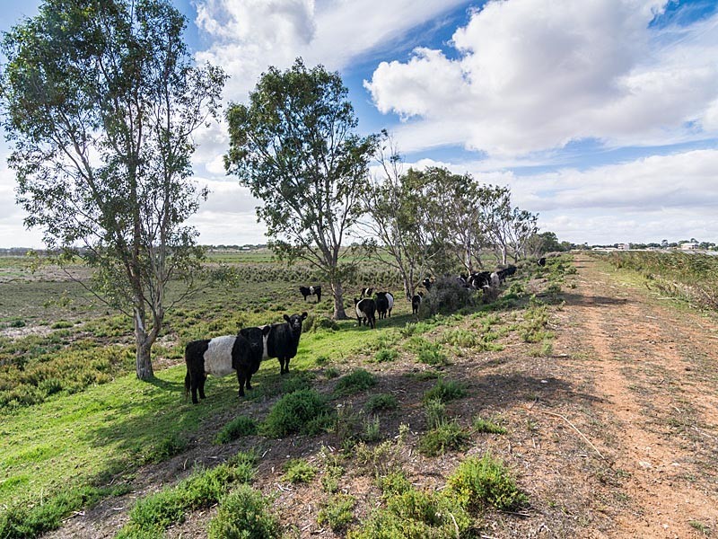 Lot 220 George Mason Street, Wellington East SA 5259