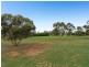 48 Rodwell Road, Woodchester SA 5255
