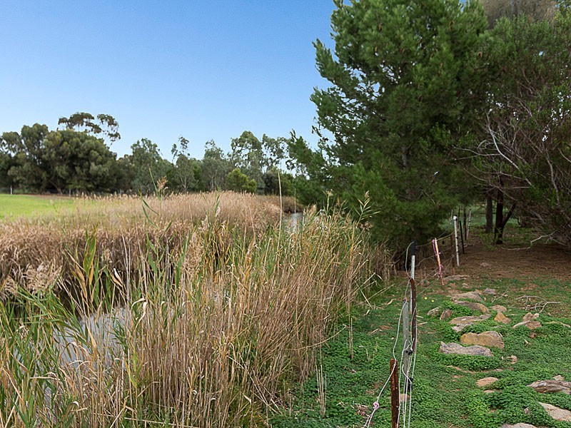 48 Rodwell Road, Woodchester SA 5255