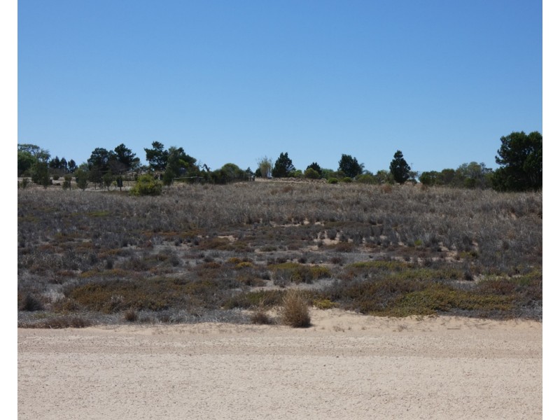 Lt 833 and 835 Riley Road, Wellington East SA 5259