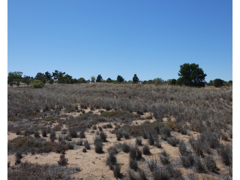 Lt 833 and 835 Riley Road, Wellington East SA 5259