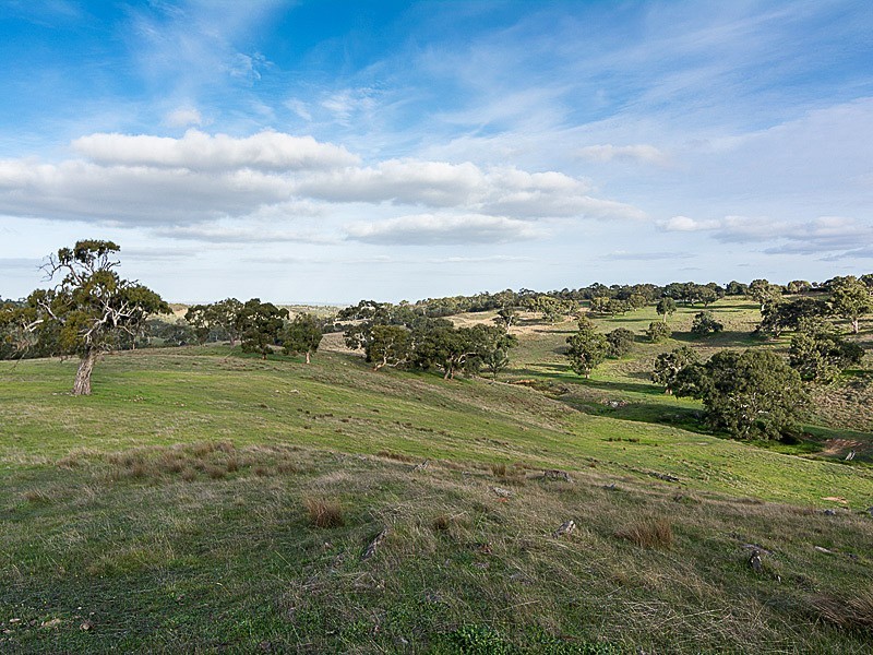 Lot 203 Petwood Road, Nairne SA 5252