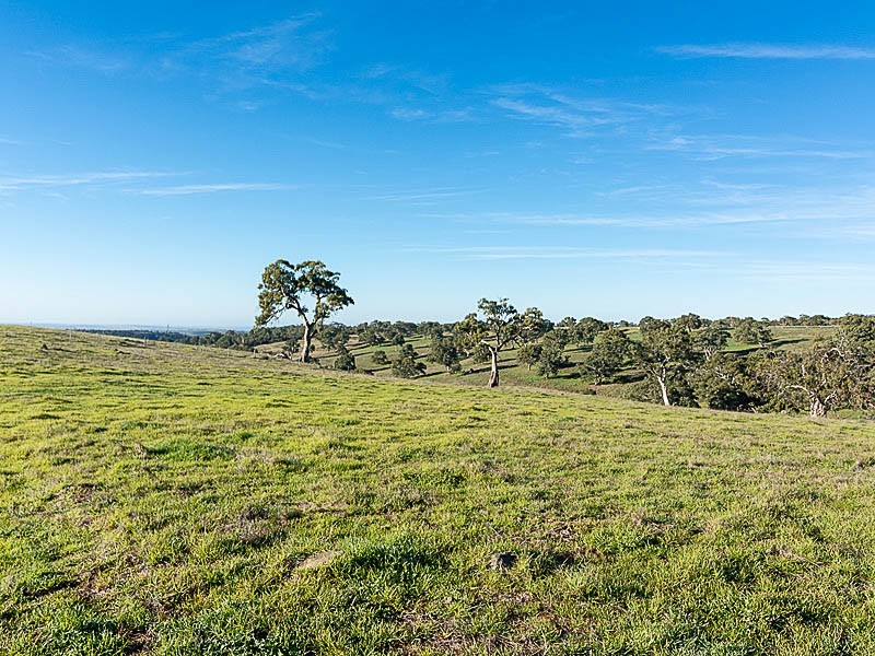 Lot 203 Petwood Road, Nairne SA 5252