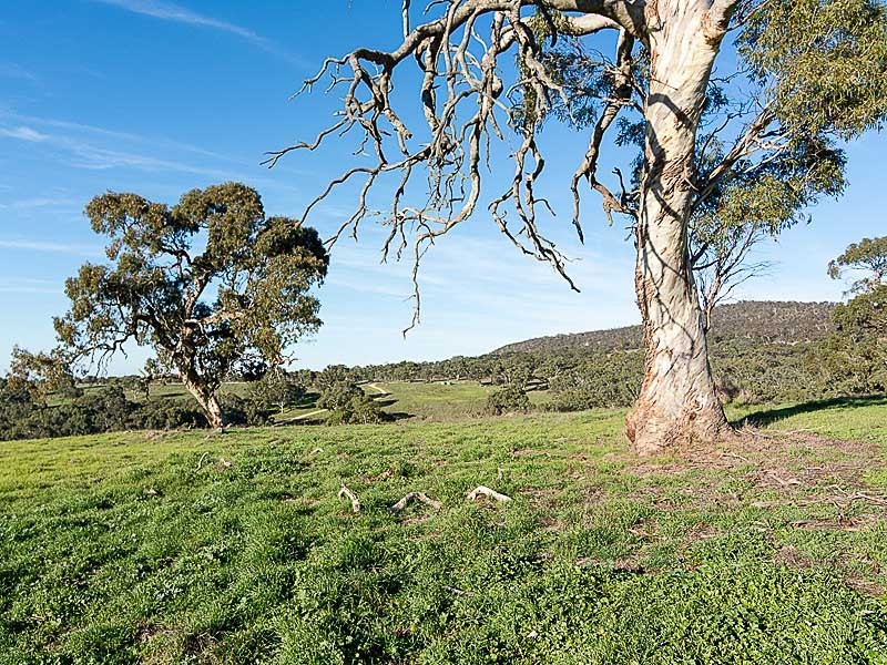 Lot 203 Petwood Road, Nairne SA 5252