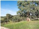 Lot 203 Petwood Road, Nairne SA 5252