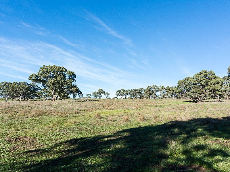 Lot 203 Petwood Road, Nairne SA 5252