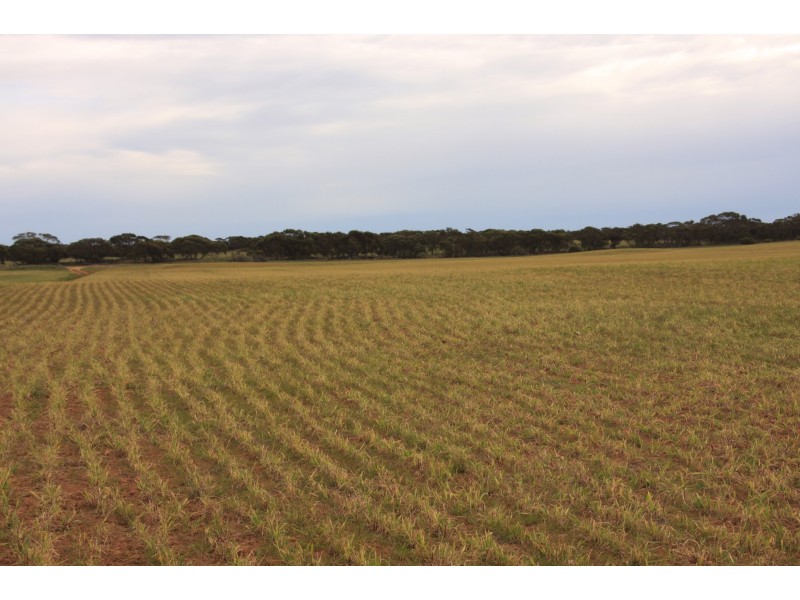 1585 Sandalwood Road, Marama SA 5307