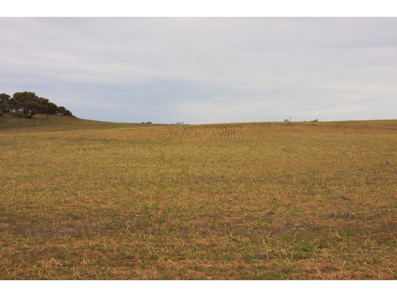 1585 Sandalwood Road, Marama SA 5307