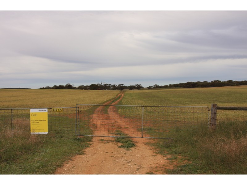 1585 Sandalwood Road, Marama SA 5307