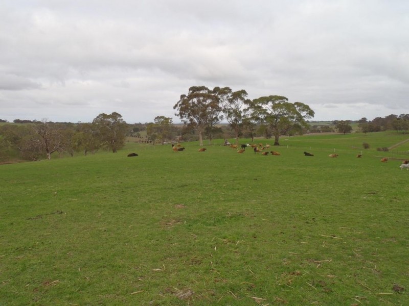 Lt 20, 21, 101 Pitt Road, Mount Barker SA 5251