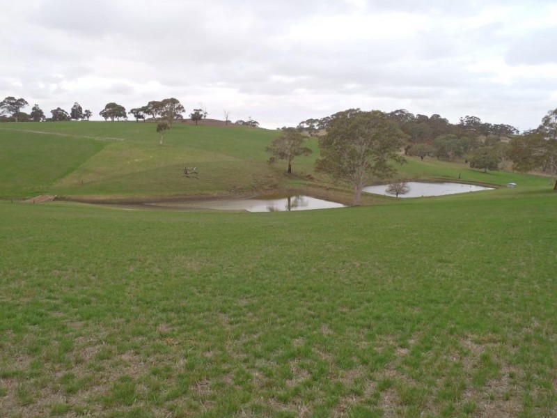 Lt 20, 21, 101 Pitt Road, Mount Barker SA 5251