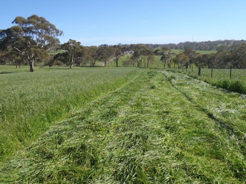 Lt 20, 21, 101 Pitt Road, Mount Barker SA 5251