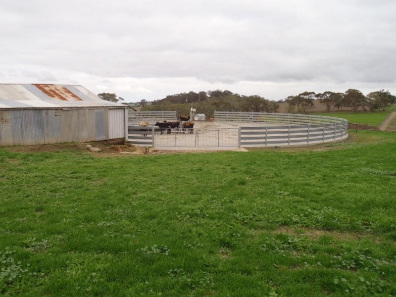 Lt 20, 21, 101 Pitt Road, Mount Barker SA 5251