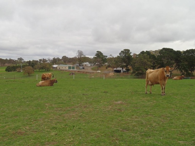 Lt 20, 21, 101 Pitt Road, Mount Barker SA 5251