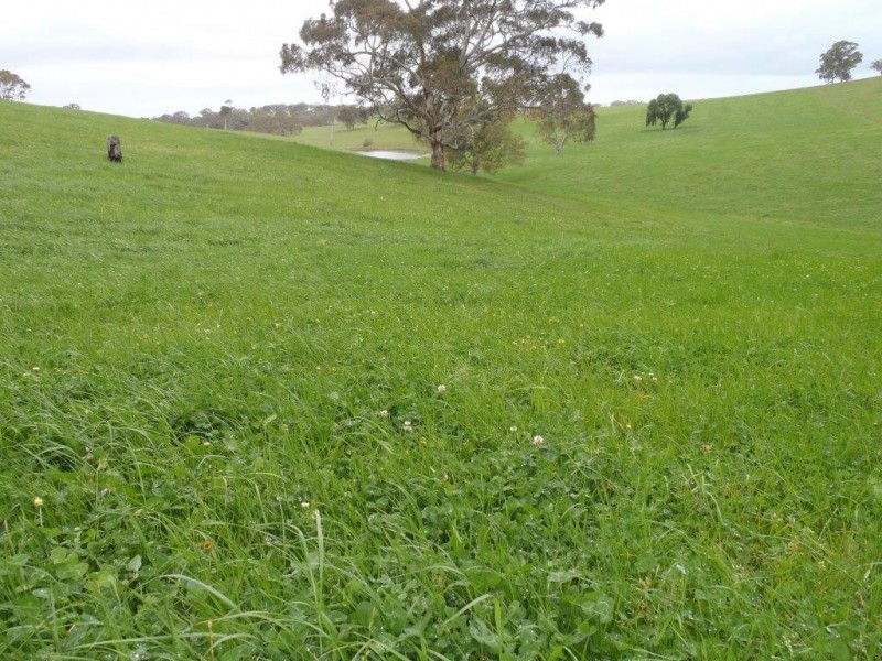 Lt 20, 21, 101 Pitt Road, Mount Barker SA 5251