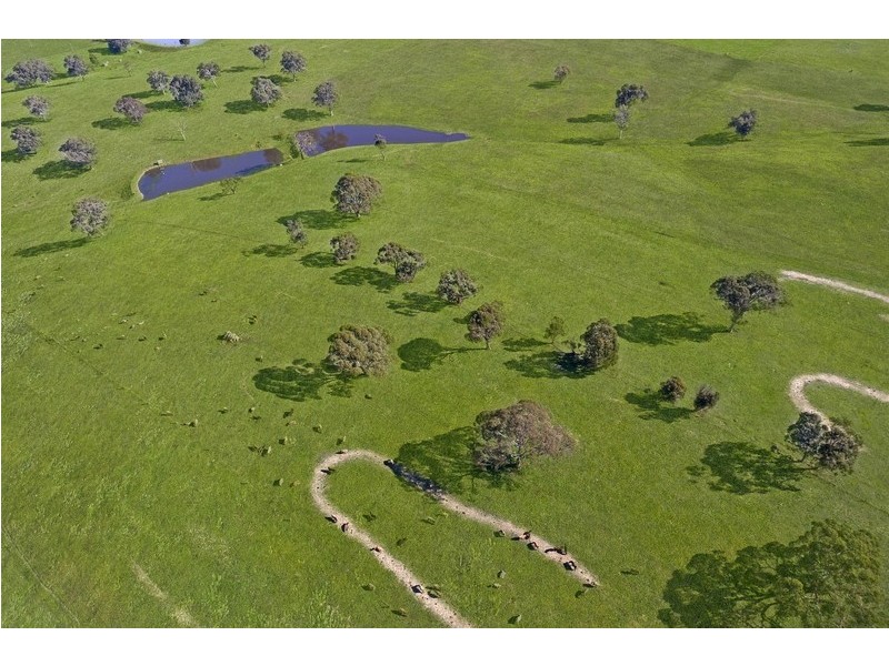 Lt 20, 21, 101 Pitt Road, Mount Barker SA 5251