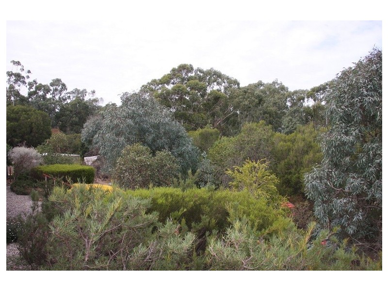 15 Devereux Street, Macclesfield SA 5153