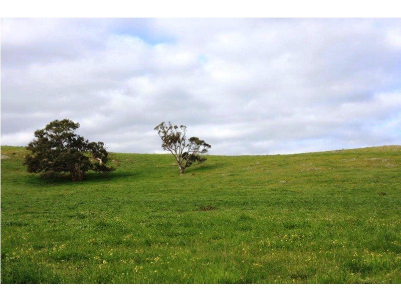 Lot 101 Wattle Flat Road, Strathalbyn SA 5255