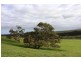 Lot 101 Wattle Flat Road, Strathalbyn SA 5255
