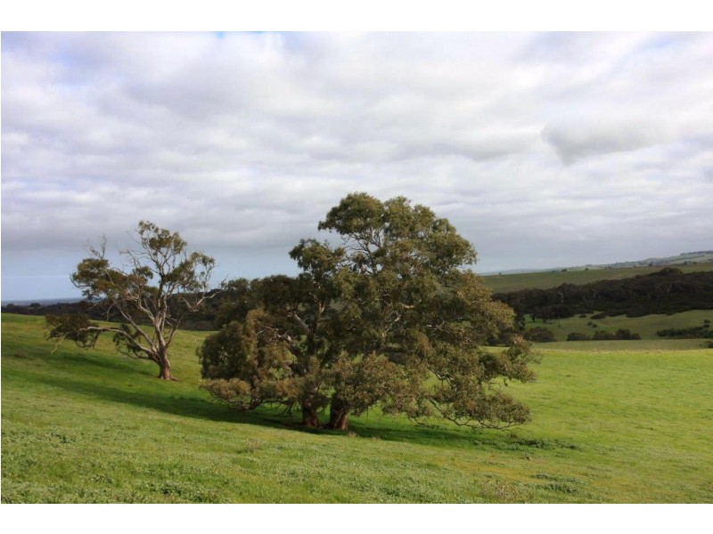 Lot 101 Wattle Flat Road, Strathalbyn SA 5255