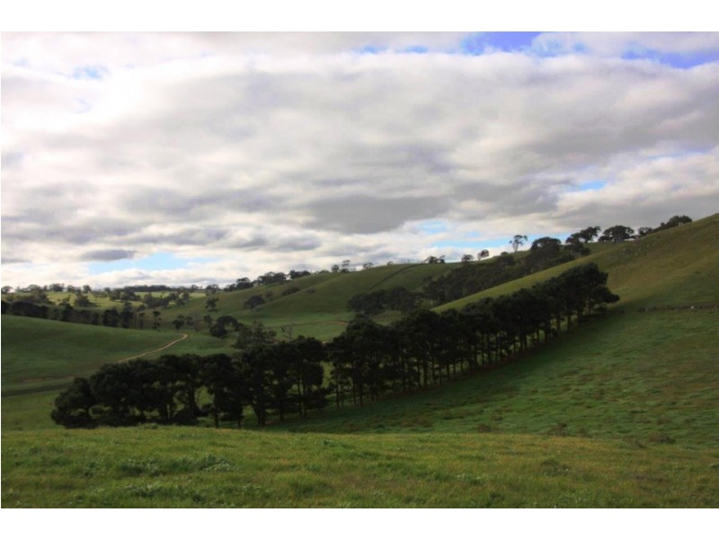 Lot 101 Wattle Flat Road, Strathalbyn SA 5255