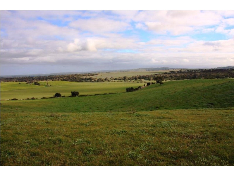 Lot 101 Wattle Flat Road, Strathalbyn SA 5255