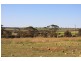 Lot 3 Chaunceys Line Road, Hartley SA 5255