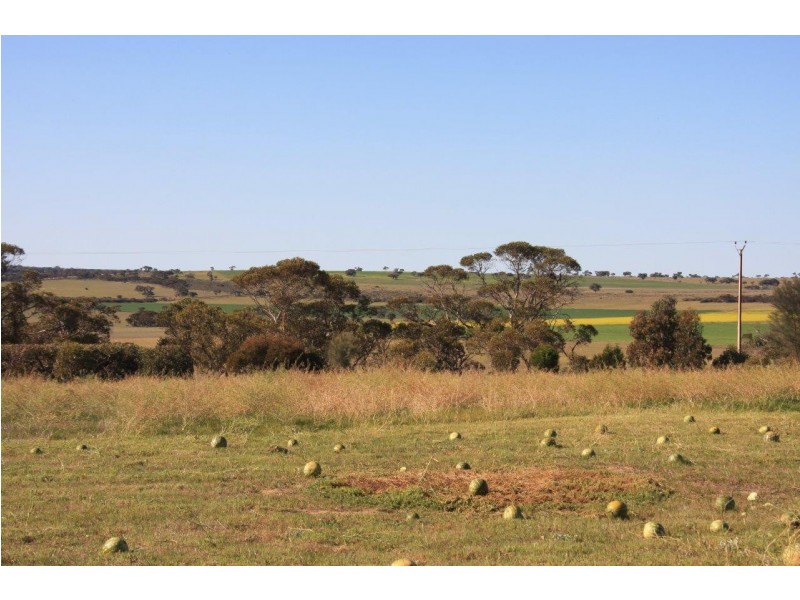 Lot 3 Chaunceys Line Road, Hartley SA 5255
