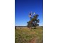 Lot 3 Chaunceys Line Road, Hartley SA 5255