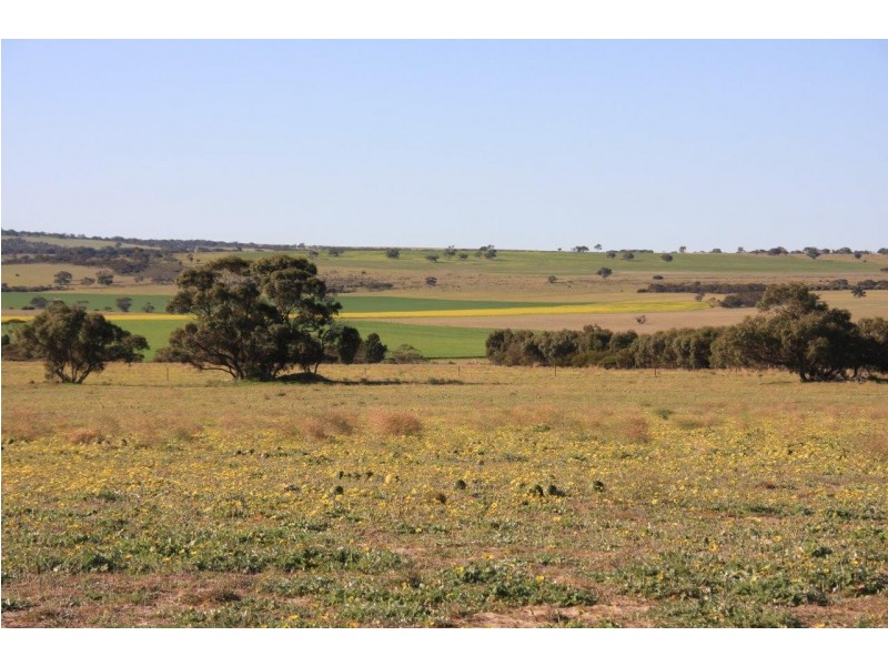 Lot 3 Chaunceys Line Road, Hartley SA 5255