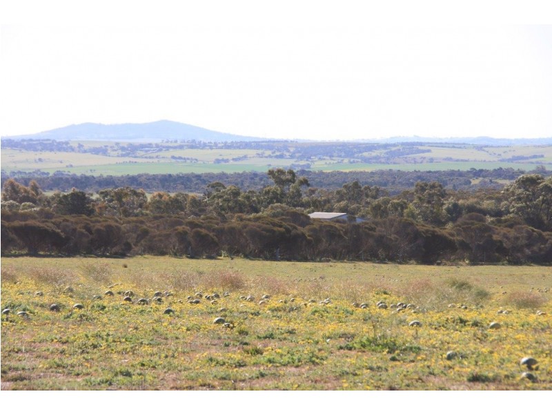 Lot 3 Chaunceys Line Road, Hartley SA 5255