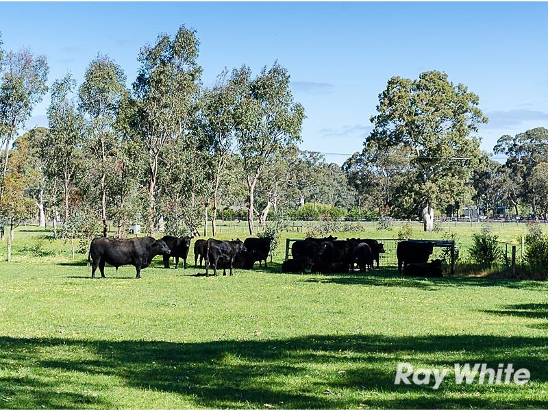 641 Battunga Road, Meadows SA 5201