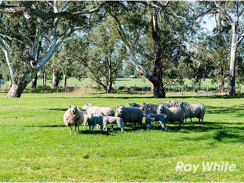 641 Battunga Road, Meadows SA 5201