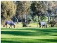 10 Styles Street, Meadows SA 5201