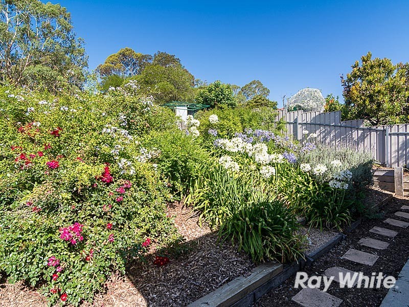 17 Market Place, Nairne SA 5252