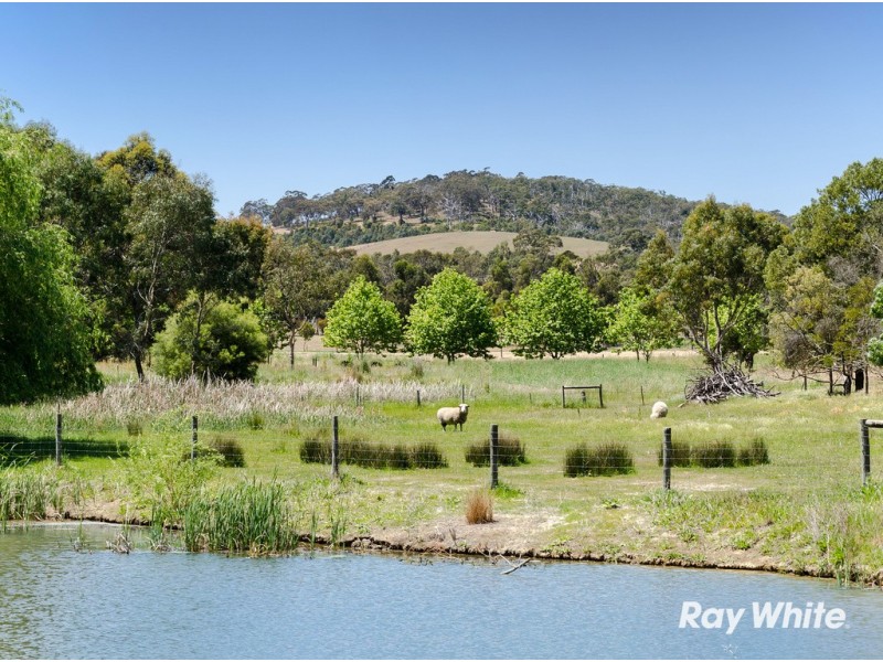 44 Scottsburn Road, Echunga SA 5153