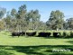 641 Battunga Road, Meadows SA 5201