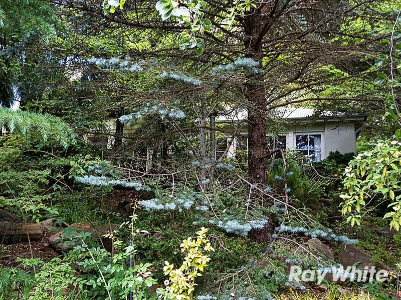 108 Gores Road, Piccadilly SA 5151