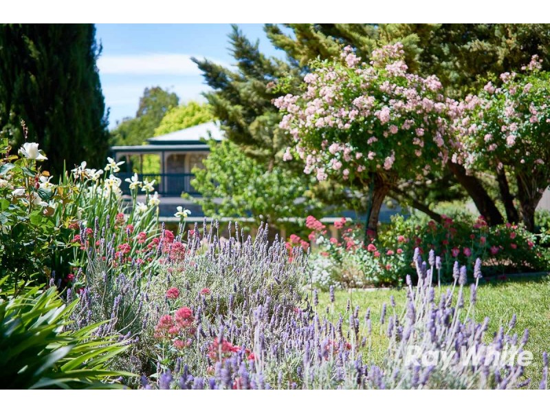 20 Nightingale Court, Oakbank SA 5243