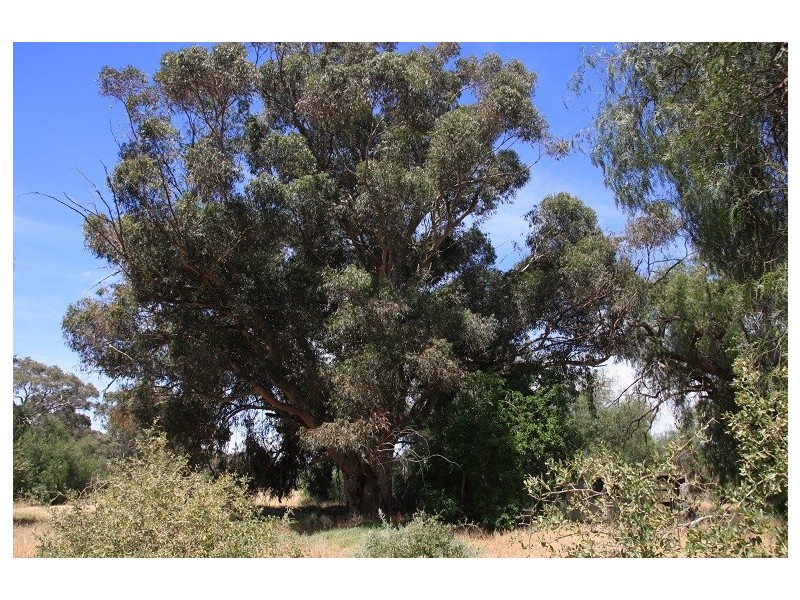 268 Sanderston Road, Mount Pleasant SA 5235