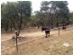 200 Scrubby Hill Road, Highland Valley SA 5255