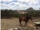 200 Scrubby Hill Road, Highland Valley SA 5255